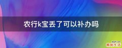 农行k宝丢了可以补办吗