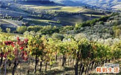 3 每天喝牛奶可以美白吗