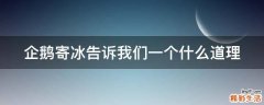 企鹅寄冰告诉我们一个什么道理