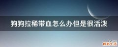 狗狗拉稀带血怎么办但是很活泼