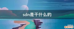 sdn是干什么的