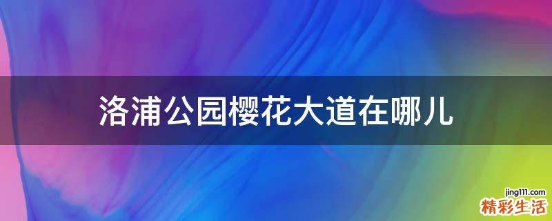 洛浦公园樱花大道在哪儿