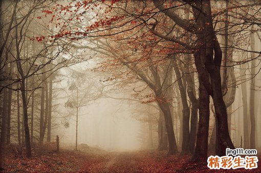 橘子越“甜”越抗癌!