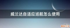威兰达自适应巡航怎么使用