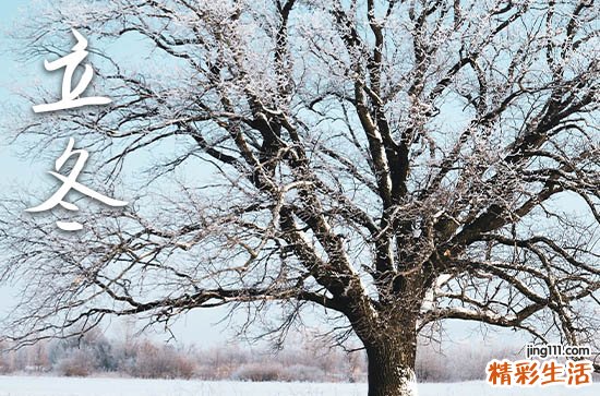 2023立冬是几月几号几点几分 2023立冬是哪一天