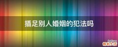 插足别人婚姻的犯法吗