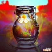 玻璃体疝的症状及其所致疾病有哪些？