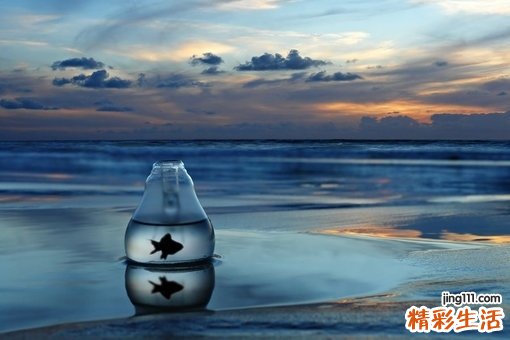 玻璃体出血易导致什么并发症