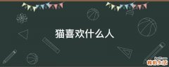 猫喜欢什么人