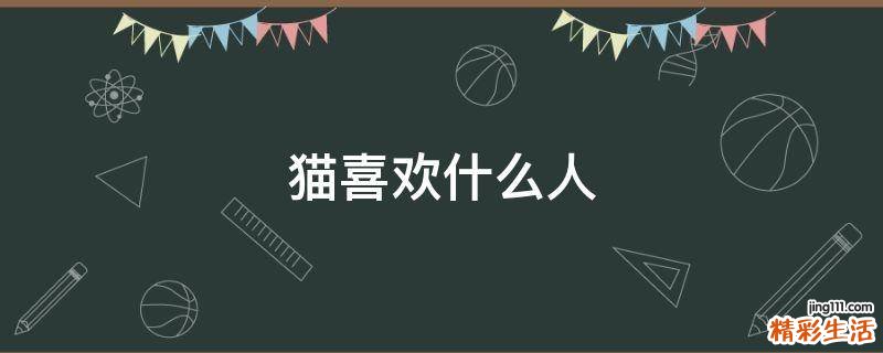 猫喜欢什么人