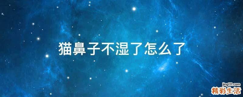 猫鼻子不湿了怎么了