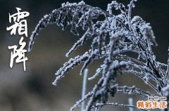 2023年霜降节气是几月几日 2023年霜降节气是哪一天