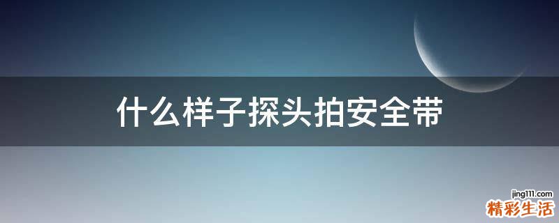 什么样子探头拍安全带
