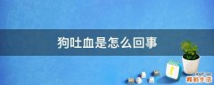 狗吐血是怎么回事