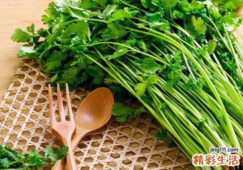 香菜和皮蛋能一起吃吗 狗肉能和香菜一起吃吗