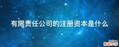 有限责任公司的注册资本是什么
