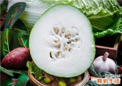 冬瓜和什么做汤最好喝 怎么做冬瓜排骨汤窍门