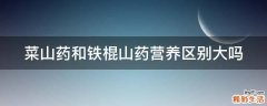 菜山药和铁棍山药营养区别大吗