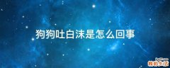 狗狗吐白沫是怎么回事