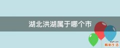 湖北洪湖属于哪个市