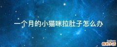 一个月的小猫咪拉肚子怎么办