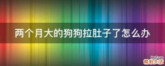 两个月大的狗狗拉肚子了怎么办