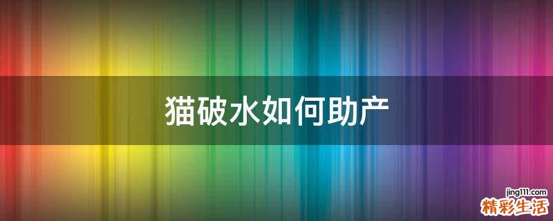 猫破水如何助产