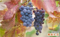 2 戴美瞳24小时取不下来 美瞳的6大危害