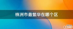 株洲市最繁华在哪个区