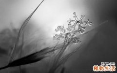 2 压力与心理健康