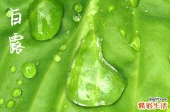 2023白露喝什么汤比较好 2023白露节气去燥滋润滋补汤