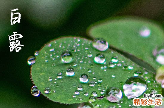 2023白露应该吃什么食物 2023白露须吃的传统与养生食物