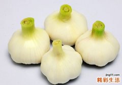 生吃大蒜伤胃还是养胃