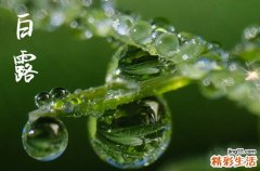 2023白露是几月几日星期几 2023白露节气是什么时候几点钟