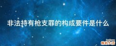 非法持有枪支罪的构成要件是什么