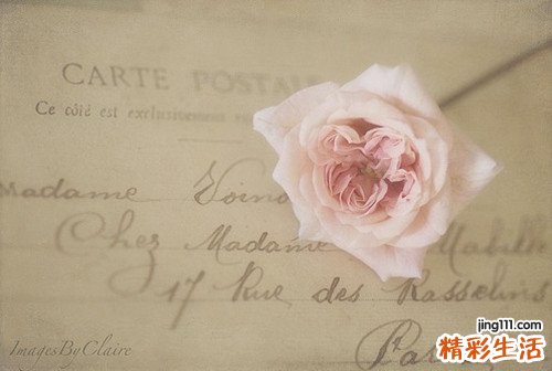 学会尊重孩子的反抗