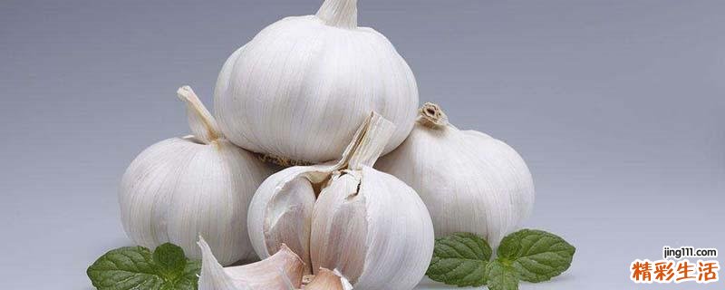 蒜头发芽了还能吃吗