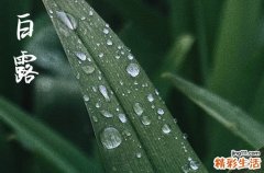 2023白露养生小常识白露生活起居须知6要点