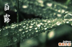 2023白露节气小儿推拿的好处 2023白露可以刮痧吗