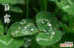 2023年白露在什么时间几点几分 2023白露节气各地风俗