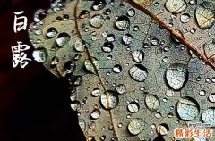 2023白露是几月几日星期几