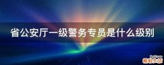 省公安厅一级警务专员是什么级别