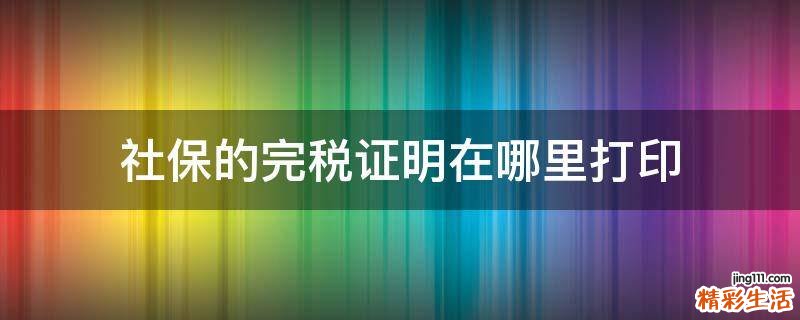 社保的完税证明在哪里打印