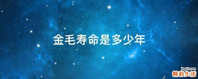 金毛寿命是多少年