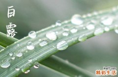 2023白露是几月几日星期几 几月几日白露节气