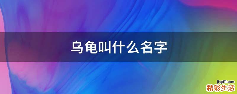 乌龟叫什么名字