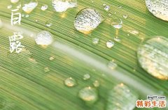 2023年白露能穿短袖吗 2023年大暑白露必须知道这两件事