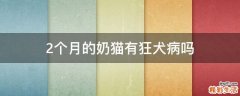 2个月的奶猫有狂犬病吗