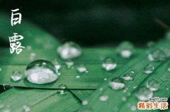 2023年白露能回娘家吗 2023年白露这几天怎么吃