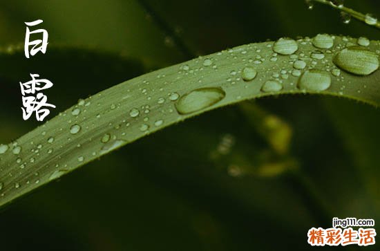 2023年白露能洗澡吗 2023年白露这个时间段穿什么